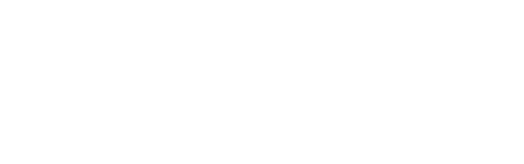 bigdatavalueassociation_logo_W
