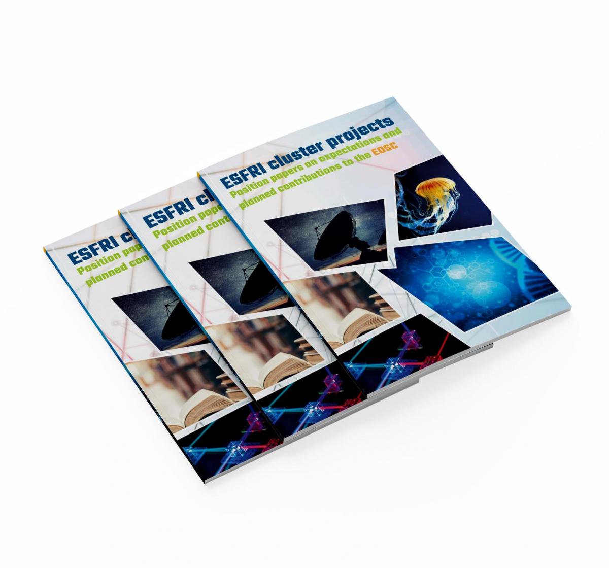 ESFRI Cluster Projects Position Papers Booklet